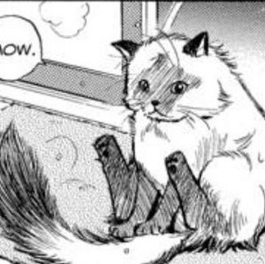 Meet your Posher, Angela